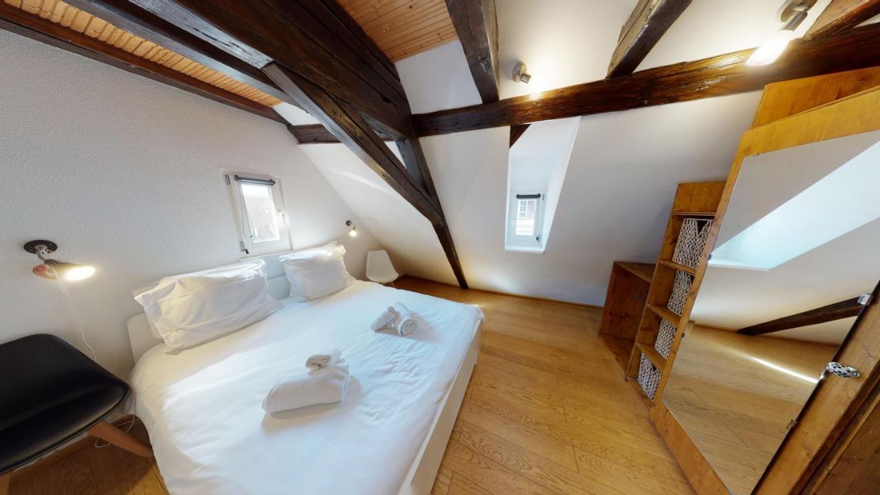 Spacious Duplex City Center ストラスブール エクステリア 写真