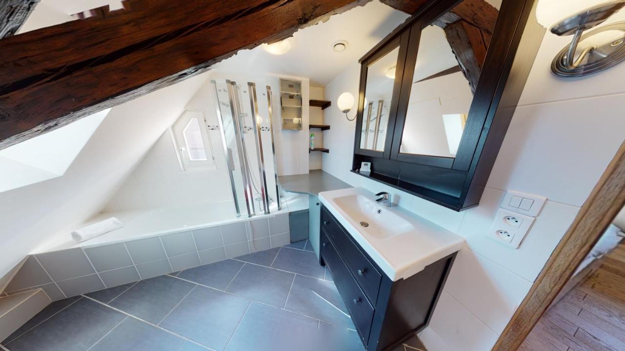 Spacious Duplex City Center ストラスブール エクステリア 写真